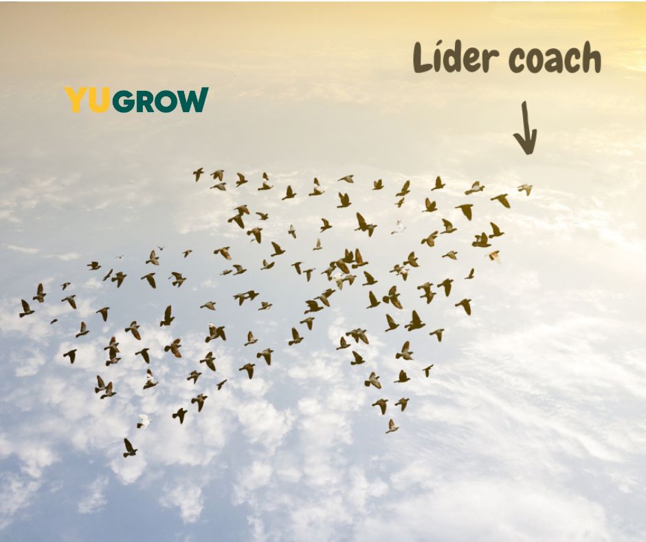 lider_coach
